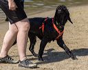 20220807-jwd-0260