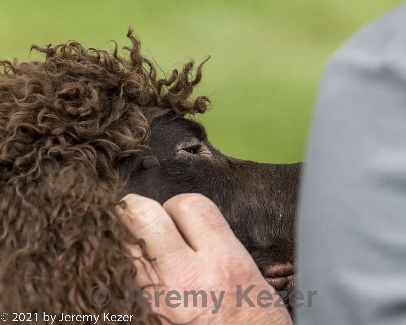 20220827-c-0023.jpg