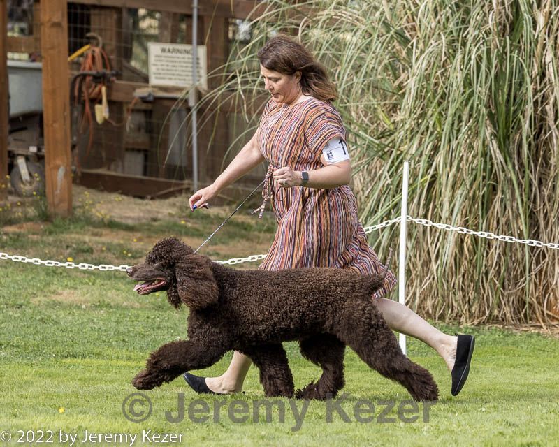 20220827-co-0154.jpg