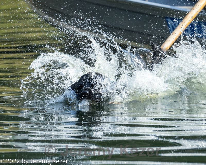 20220910-master-0016.jpg