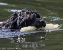 20220910-wwd-0174