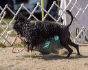 20220910-wwd-0275