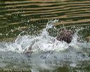 20220911-jwd-0042