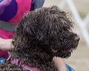 20220911-jwd-0046