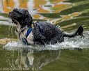 20220911-master-0148