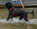 20220911-wwd-0107
