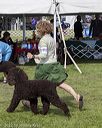 20221001-wc-0205