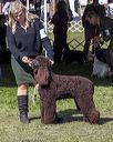 20221001-wc-0243