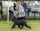 20221001-wc-0095