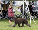 20221001-wc-0077