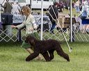 20221001-wc-0027