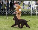 20221001-wc-0043