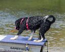 20230820-awd-0258