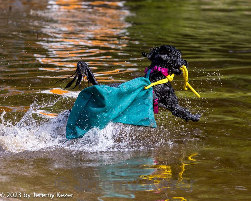 20230909-master-0070.jpg