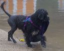 20230910-master-0049