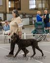 20250513-ob-0100_1.jpg