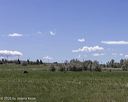 20250515-wcxl-0052