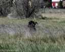 20250515-wcxl-0053