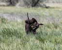 20250515-wcxl-0057