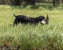 20250515-wcxw-0029