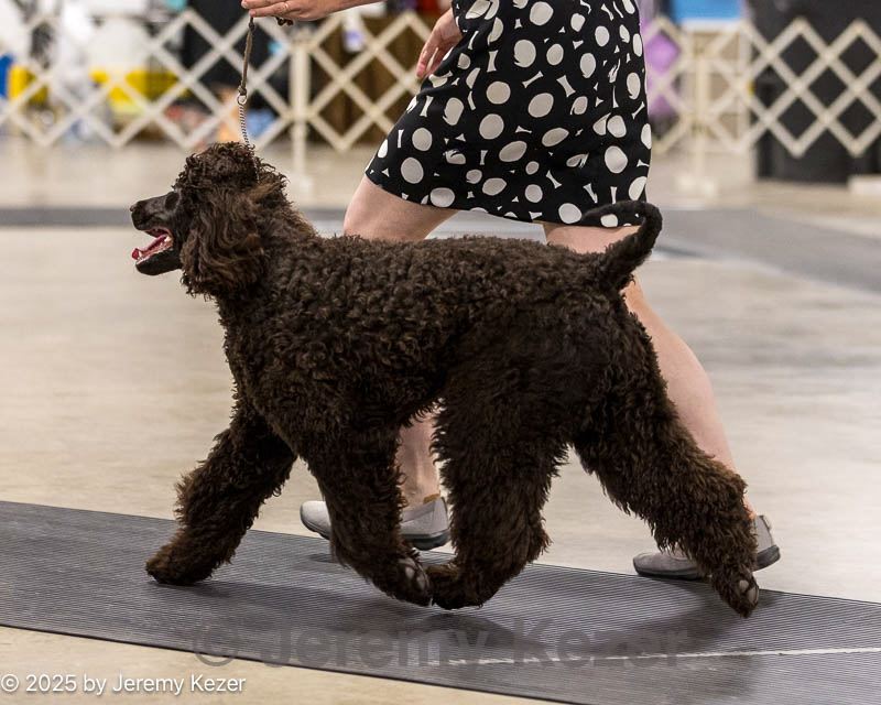 20250802-0057.jpg
