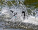20250816-jwd-0055