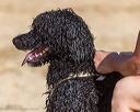 20250816-jwd-0107