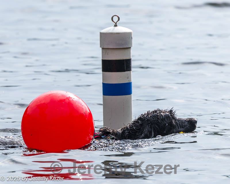20250816-master-0201.jpg