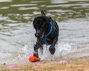 20250817-jwd-0078