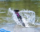 20250817-jwd-0154