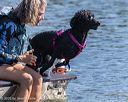 20250914-master-0126