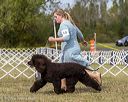 20250927-wc-0167