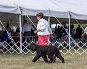 20250927-wc-0037