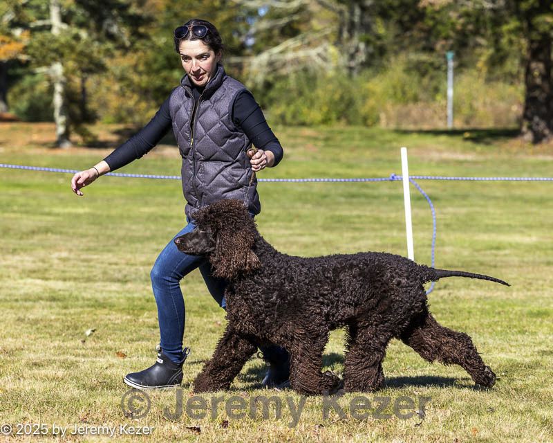 20251025-rtd-0051.jpg