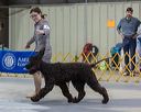 20260228-0232
