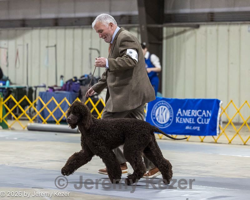 20260228-0219.jpg
