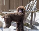 20260513-sc-0067