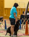 20260513-ob-0002