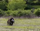 20260516-wcl-0013
