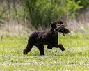 20260516-wcl-0050