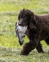 20260516-wcl-0112