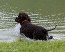 20260516-wcw-0115