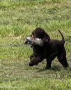 20260516-wcxl-0034