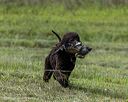 20260516-wcxl-0040