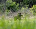20260516-wcxl-0055