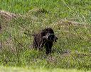 20260516-wcxl-0058