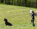 20260516-wcxl-0065