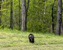 20260516-wcxl-0069