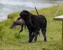 20260516-wcxw-0004