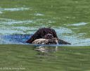 20260516-wcxw-0054